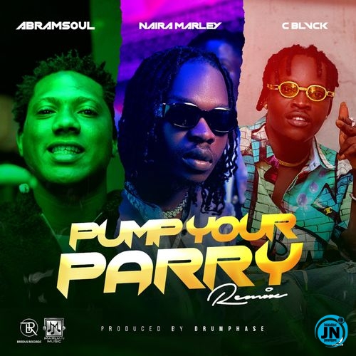 Abramsoul - Pump Your Parry (Remix) ft. Naira Marley, C Blvck   Mp3 Download lyrics