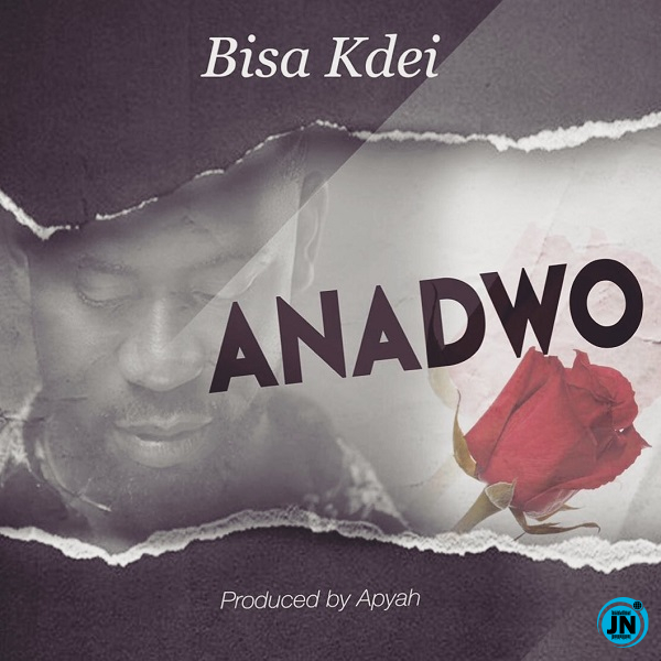 Bisa Kdei - Anadwo   Mp3 Download lyrics