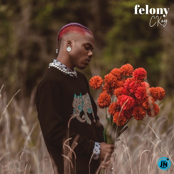 Ckay - Felony   Mp3 Download lyrics