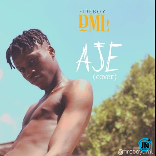 Fireboy DML - Aje (cover)   Mp3 Download lyrics