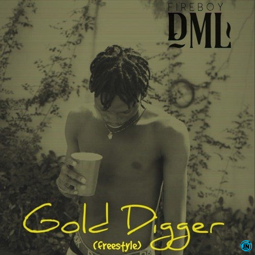 Fireboy DML - Gold Digger (Freestyle)   Mp3 Download lyrics