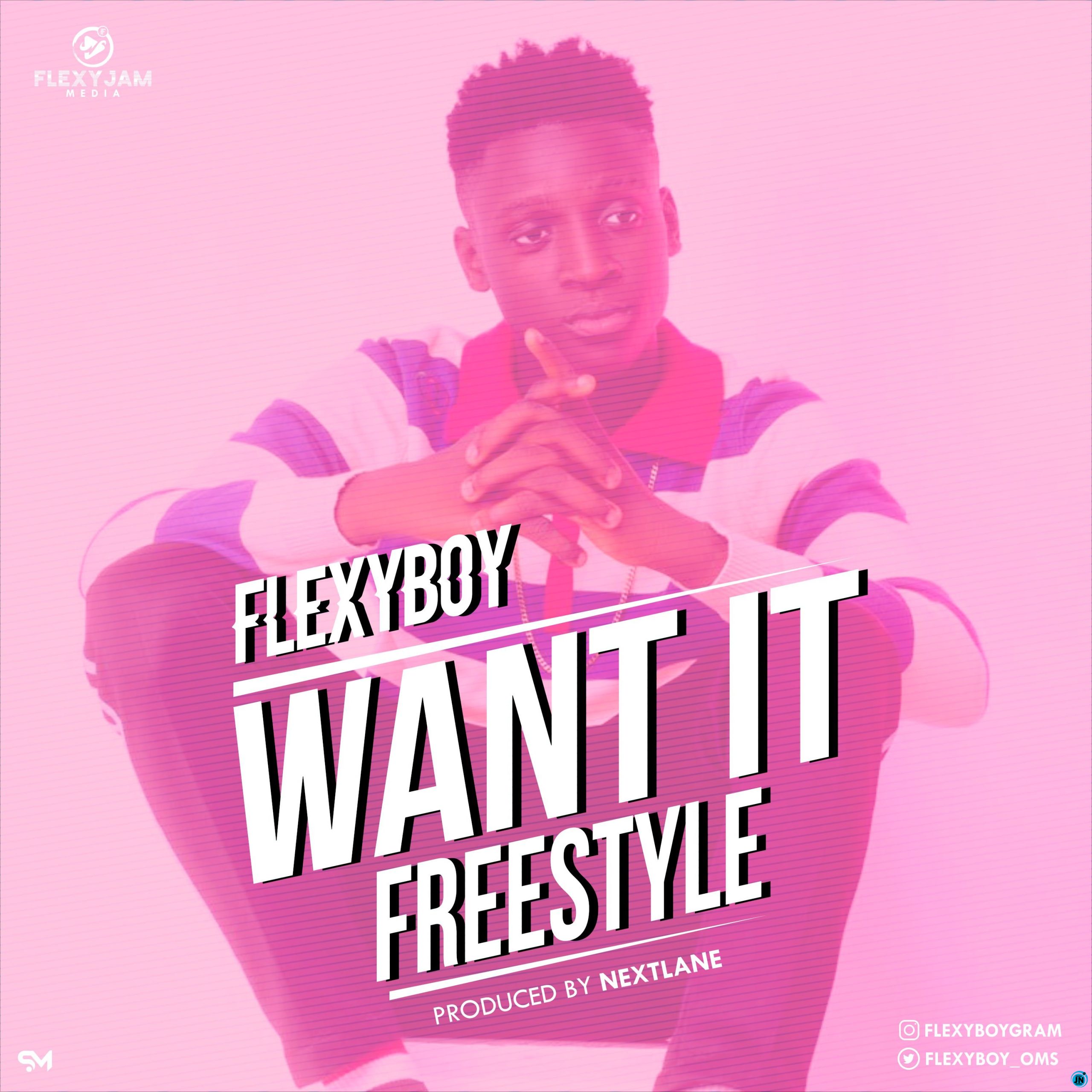 FlexyBoy - Want it (Freestyle)   Mp3 Download lyrics