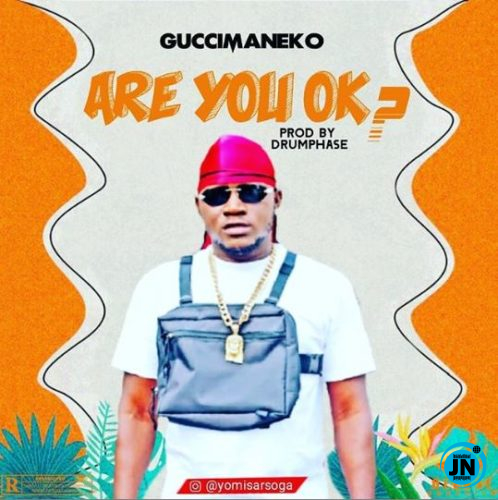 Guccimaneeko - Are You Ok?   Mp3 Download lyrics