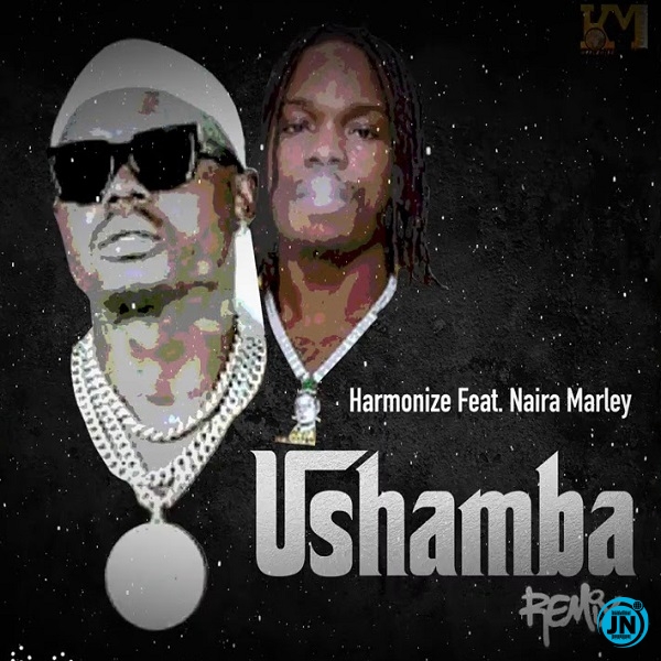 Harmonize - Ushamba (Remix) ft. Naira Marley   Mp3 Download lyrics