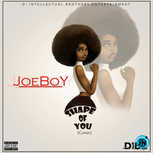 Joeboy - Shape Of You (Cover)   Mp3 Download lyrics