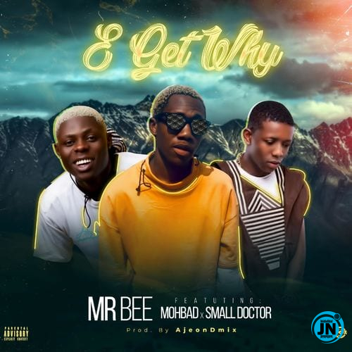 Mr Bee - E Get Why ft. Small Doctor & Mohbad   Mp3 Download lyrics