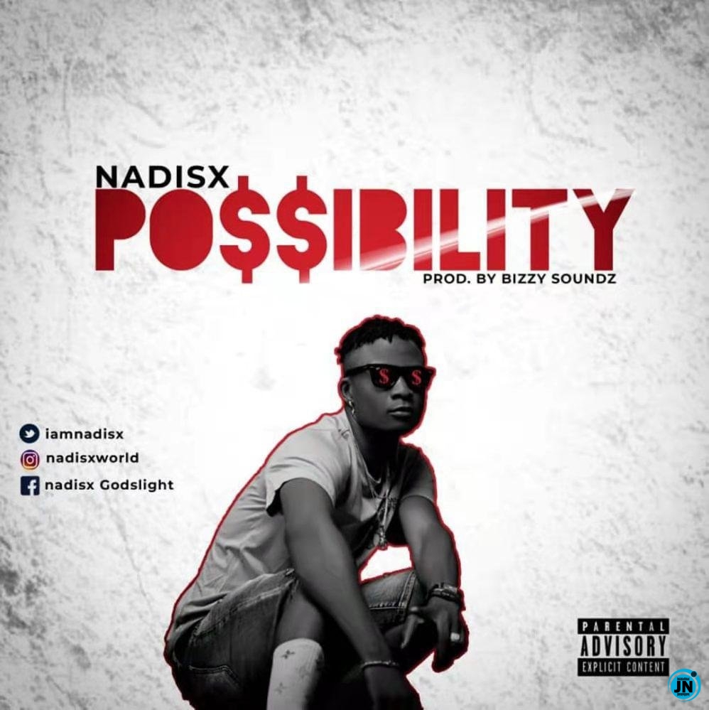 Nadisx - Possibility   Mp3 Download lyrics