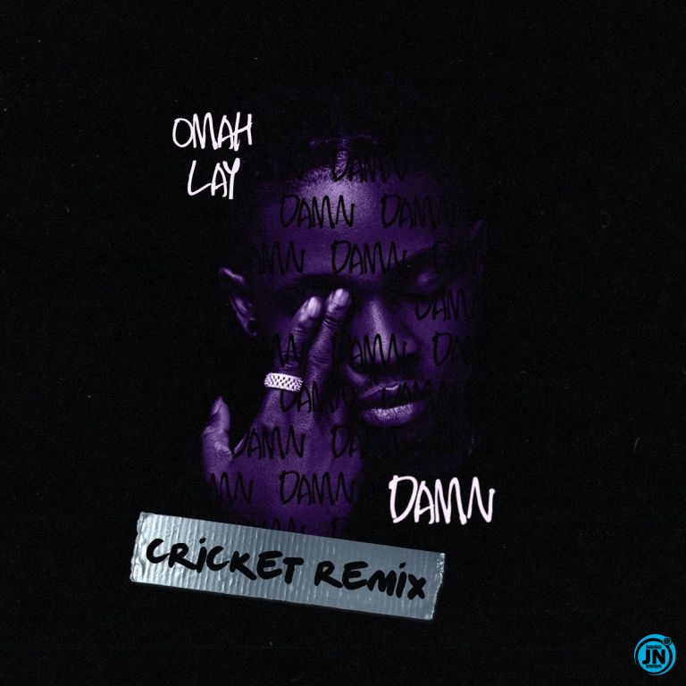 Omah Lay - Damn (Cricket Remix)   Mp3 Download lyrics