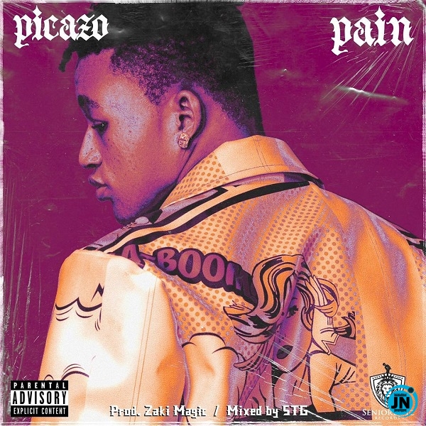 Picazo - Pain   Mp3 Download lyrics
