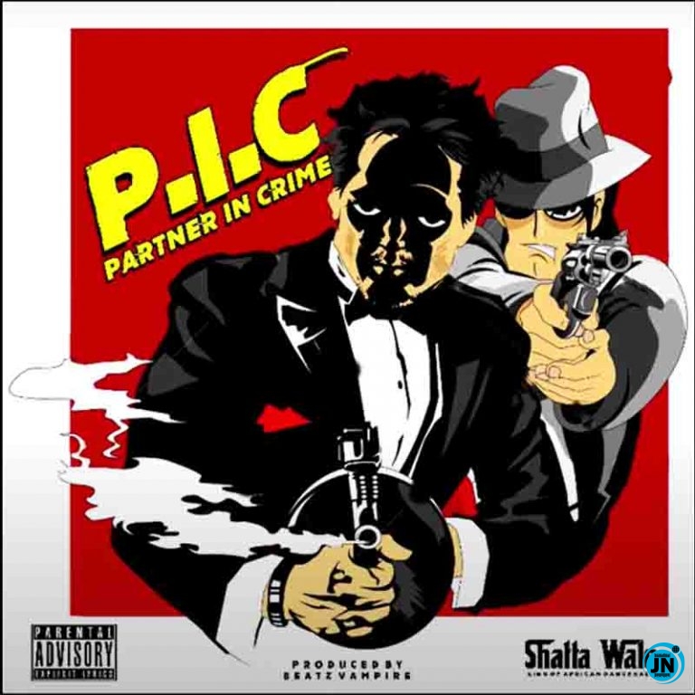 Shatta Wale - Partner In Crime (P.I.C)   Mp3 Download lyrics