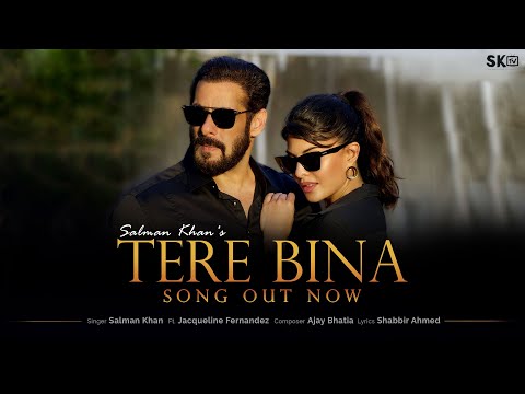 Salman Khan - Tere Bina ft. Jacqueline Fernandez   Mp3 Download lyrics